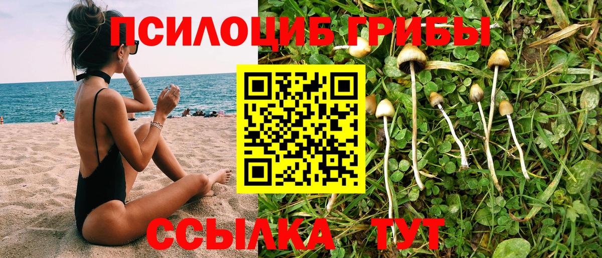 Галлюциногенные грибы GOLDEN TEACHER  Вход с VPN  Воткинск 